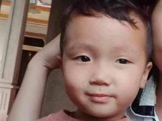 Trắng đêm tìm kiếm bé trai 2 tuổi mất tích bí ẩn: 'Đã trích xuất camera nhưng chưa tìm thấy cháu'