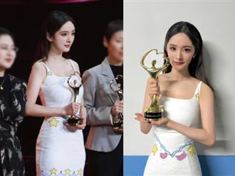 Vì sao Dương Mịch hứng chỉ trích dữ dội khi nhận giải thưởng 'Ngôi sao từ thiện của năm'?
