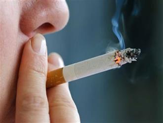Hút thuốc làm tăng gấp đôi tốc độ phát triển bệnh nhiễm COVID-19