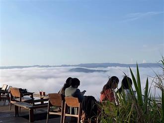 Hé lộ 3 tiệm cafe săn mây ở Đà Lạt ngồi vào là có ảnh đẹp, khỏi chen chân ra đồi chè Cầu Đất cho mất công
