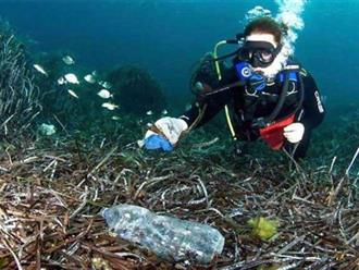 'tử thần' của rác biển, người đàn ông 20 năm nhặt rác dưới đáy đại dương