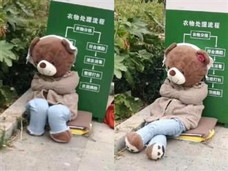 Bị bỏ rơi vạ vật ở thùng rác, gấu bông cô đơn bỗng trở nên sang chảnh hơn hẳn nhờ lòng tốt của người đi đường!