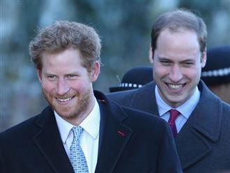Bị nghi mâu thuẫn gay gắt với Hoàng tử William, Harry đã có động thái đập tan lời đồn ngay trong ngày sinh nhật của anh trai