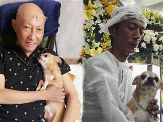 Chú chó Lucky được gia đình buộc tang trắng, quấn quýt bên linh cữu cố nghệ sĩ Lê Bình