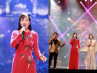 Diva Hồng Nhung xin lỗi khán giả về sự cố trên sân khấu