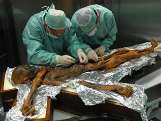 Người băng Otzi: Xác ướp lâu đời nhất của loài người từng được tìm thấy và bí ẩn lời nguyền đáng sợ đoạt mạng 7 người