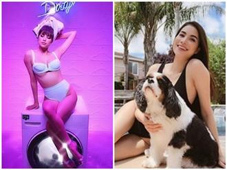 Sau khoảng thời gian bị chê tiều tụy, gầy gò, Hoa hậu Phạm Hương giờ đã được nhắc khéo 'béo thế'