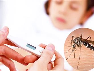 Cuối của mùa dịch sốt xuất huyết, số ca bệnh nặng vẫn tăng: Bác sĩ chỉ rõ nguyên nhân khiến muỗi sinh sôi mạnh