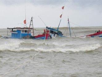 Hai tàu cá bị chìm ngoài khơi biển Quảng Bình, 3 thuyền viên mất tích, công tác tìm kiếm vô cùng khẩn trương