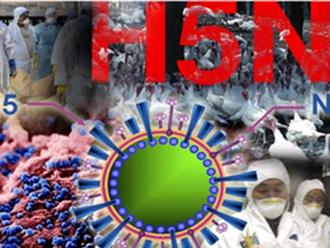  Bệnh lây truyền qua đường hô hấp tăng cao: Cảnh báo nguy cơ mắc bệnh cúm A(H5N1) trên người ở TP.HCM