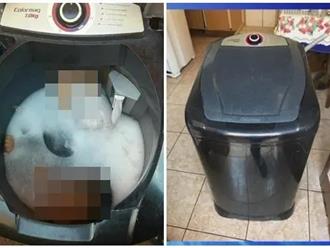 Bé trai 6 tuổi chết tức tưởi trong máy giặt đang hoạt động, khoảnh khắc bà ngoại tìm thấy đã không còn hơi thở