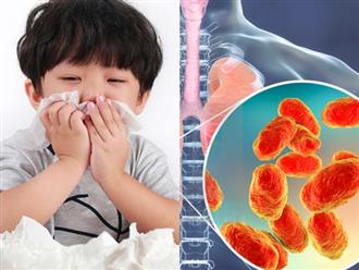 Đã tìm ra tác nhân gây bệnh hô hấp ở trẻ em tại TP.HCM: Là loại vi khuẩn 'quen mặt', xuất hiện nhiều năm qua