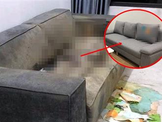 Phát hiện điểm mấu chốt khiến thi thể cô gái 'khô ráo', không bị phân hủy như bình thường: Đệm ghế sofa là 'lời giải đáp'?