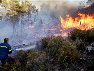 Cháy rừng khốc liệt ở quốc gia châu Âu: Người dân ví chuyến sơ tán như "địa ngục trần gian"
