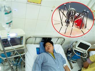Đã qua đỉnh dịch nhưng số ca sốt xuất huyết ở Hà Nội vẫn tăng cao, Bộ Y tế chỉ đạo khẩn