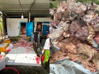 Vụ 3 tấn thịt lợn đổi màu, bốc mùi tại một kho thực phẩm ở Huế: Có mẫu nhiễm khuẩn Ecoli gấp 60 lần mức cho phép