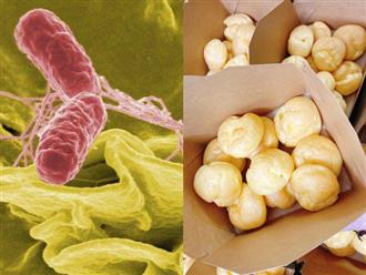 Vụ hàng chục người ngộ độc sau đêm Trung thu: Vi khuẩn Salmonella nguy hiểm như thế nào?