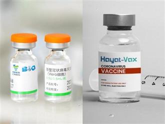 Có thể sử dụng Hayat-Vax để tiêm mũi 2 cho người đã tiêm mũi 1 là vắc-xin Sinopharm, những trường hợp nào thuộc đối tượng chống chỉ định?