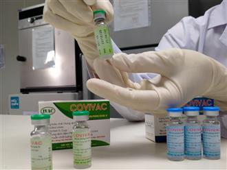 Vì sao vắc xin Covivac do Việt Nam sản xuất phải dừng thử nghiệm lâm sàng giai đoạn 3?