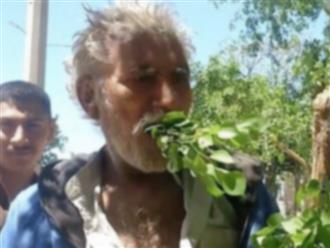 Chuyện lạ: Người đàn ông ăn lá cây suốt 25 năm để tồn tại nhưng không bao giờ bị bệnh