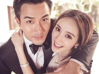 Dương Mịch có tình yêu mới, Lưu Khải Uy đang chuẩn bị tái hôn?