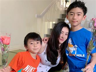 Trương Bá Chi từng từ chối nhận 900 tỉ đồng từ Tạ Đình Phong để được quyền nuôi con