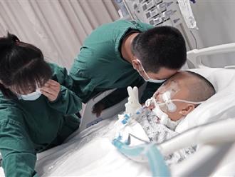 Cậu bé 8 tuổi hiến tạng cứu 8 bệnh nhân, cha bật khóc: “Giấc mơ anh hùng của con đã thành hiện thực”