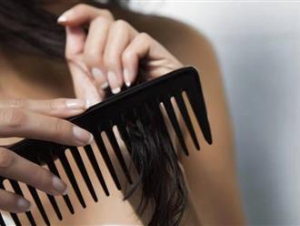 Lược nhựa hay lược gỗ: Loại nào lý tưởng cho tóc của bạn?