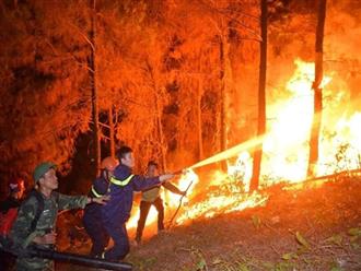 Người đàn ông khai nhận đốt rác gây cháy rừng kinh hoàng tại Hà Tĩnh
