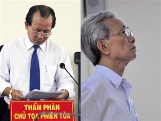 Thẩm phán tuyên án treo cho Nguyễn Khắc Thủy bị đình chỉ nhiệm vụ