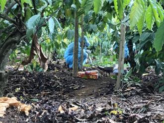 Đắk Lắk: Đi thăm vườn, chủ rẫy cà phê bàng hoàng phát hiện một phụ nữ tử vong bất thường, thi thể mất một bàn tay 