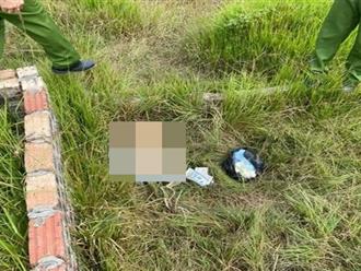 Bắc Giang: Bàng hoàng phát hiện thi thể bé gái sơ sinh bị bỏ trong thùng giấy ở nghĩa trang