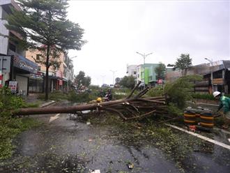 Hình ảnh thiệt hại ban đầu do bão Noru gây ra tại Đà Nẵng