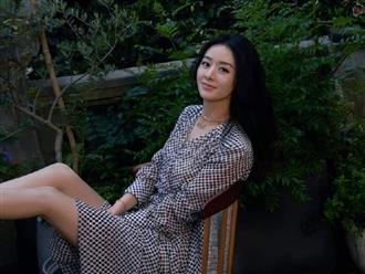 Triệu Lệ Dĩnh xuất sắc trở thành ứng cử viên sáng giá cho giải Thị hậu Bạch Ngọc Lan, phản ứng netizen gây bất ngờ? 