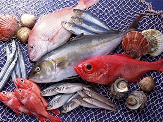 Tiểu thương bán cá tiết lộ "dân sành ăn" luôn lùng sục mua 6 loại cá biển này vì một nguyên nhân cực kì đơn giản nhưng chẳng ai ngờ tới