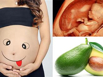 Bà bầu 3 tháng đầu nên ăn quả gì? Những loại hoa quả mẹ bầu không nên bỏ qua