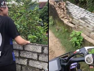 Cô gái hái trộm vải còn gây thêm chuyện 'trời ơi đất hỡi' rồi 'bỏ của' phóng xe đi mất khiến netizen phẫn nộ cùng cực