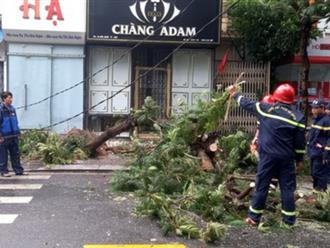 Siêu bão Noru đổ bộ: Hàng trăm ngôi nhà bị tốc mái, cây đổ la liệt, 4 người bị thương
