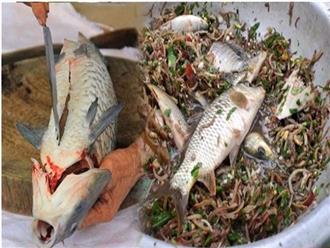 4 kiểu chế biến cá trôi sạch chất dinh dưỡng, rước độc tố bệnh tật vào người