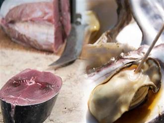 5 loại hải sản chứa đầy thủy ngân, độc tố, ăn nên cẩn thận kẻo ngộ độc như chơi