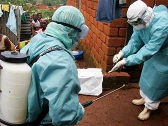 WHO: Ghi nhận thêm 8 ca nhiễm mới, 5 ca tử vong do virus Marburg ở Châu Phi