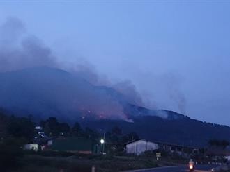 Lâm Đồng: Cháy rừng lớn ở núi Voi, lửa bốc cao, các cột khói bao trùm