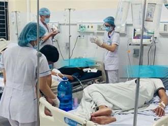 Lào Cai: Uống rượu ngâm củ thương lục, 3 bệnh nhân phải nhập viện cấp cứu