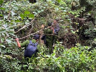 Bình Thuận: Nữ du khách đột nhiên mất tích trên núi Tà Cú, xuyên đêm tìm kiếm nhưng bất thành