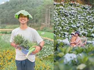 Bỏ phố về Đà Lạt: Cặp vợ chồng trẻ ‘trồng rau chăm hoa’, sống cuộc sống điền viên nhiều người mơ ước