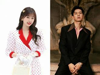 'Người tình màn ảnh' của Vương Hạc Đệ sắp sửa thành đôi với Lý Hiện, netizen phản đối vì một điều?