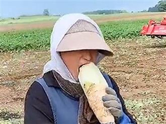 Hình ảnh người phụ nữ ăn củ cải sống ngon lành ngay giữa ruộng và câu chuyện vất vả phía sau khiến ai nấy đều cảm động