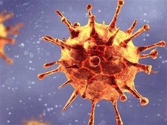 Nóng: Anh phát hiện thêm 2 biến thể mới của virus SARS-CoV-2