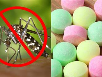 Không cần mua những món đồ đuổi muỗi đắt tiền, chỉ cần biết 5 cách cực đơn giản này nhà của bạn sẽ 'sạch bong' không còn tiếng vo ve