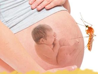 Mẹ bầu sốt xuất huyết ảnh hưởng đến thai nhi như thế nào?